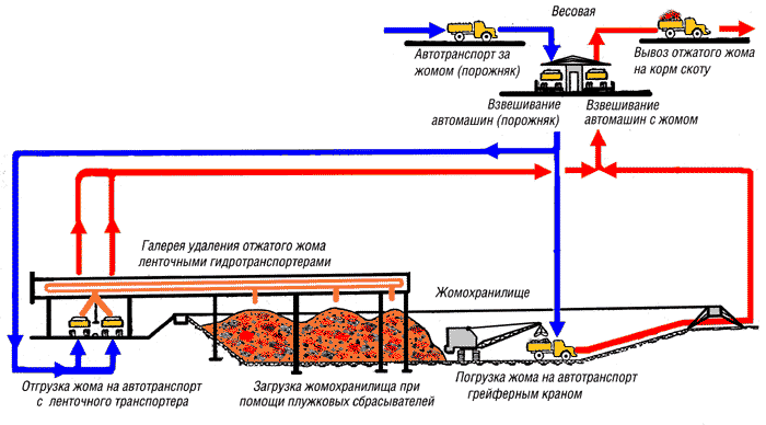 Амалия Мордвинова жалаңаш